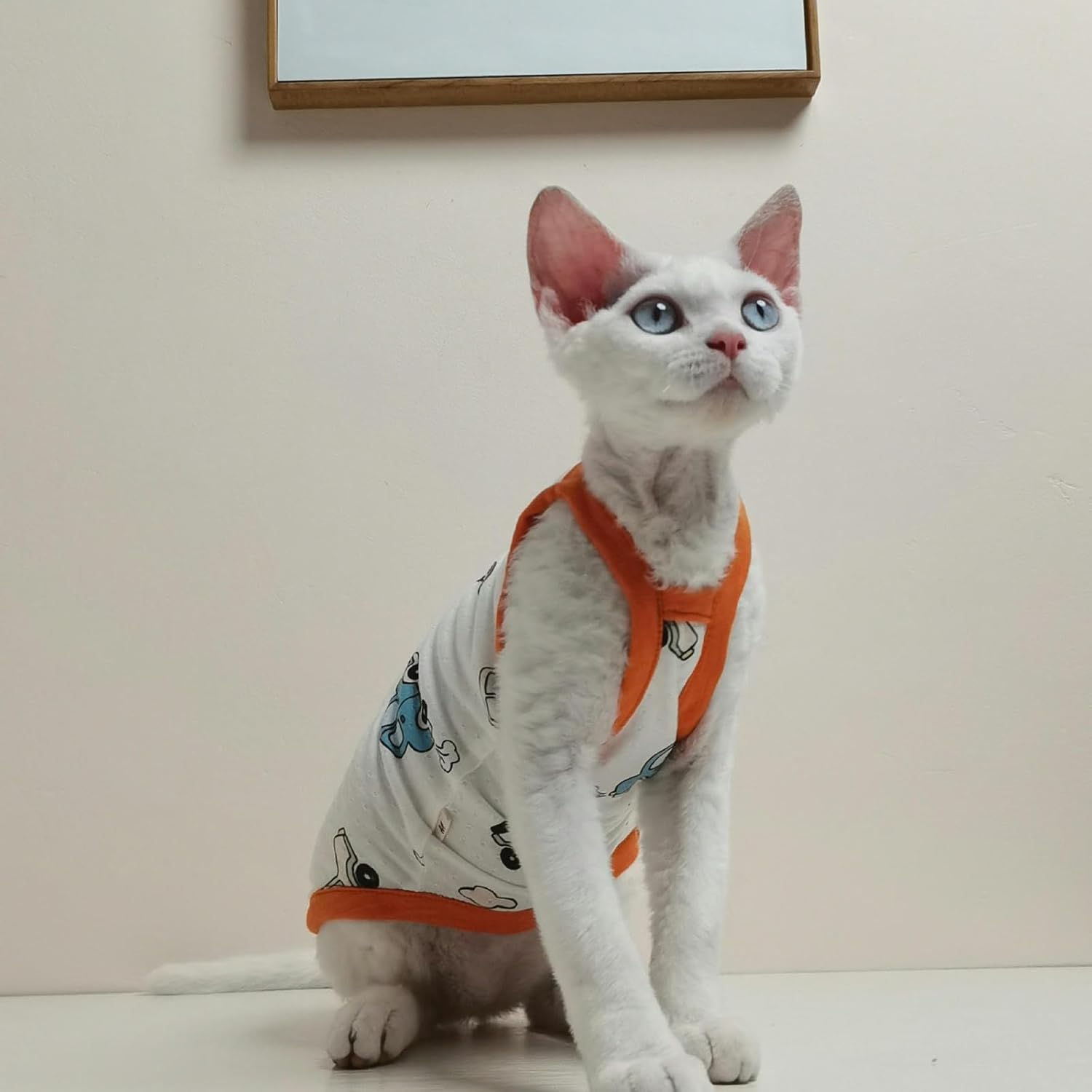 IUOUTG Sphynx Hairless Cats Shirt Pure Cotton Hairless Cat Clothes Cute Pullover Cat Pajamas round Collar Kitten Vest Cats Apparel for Cornish Rex, Devon Rex image number 5