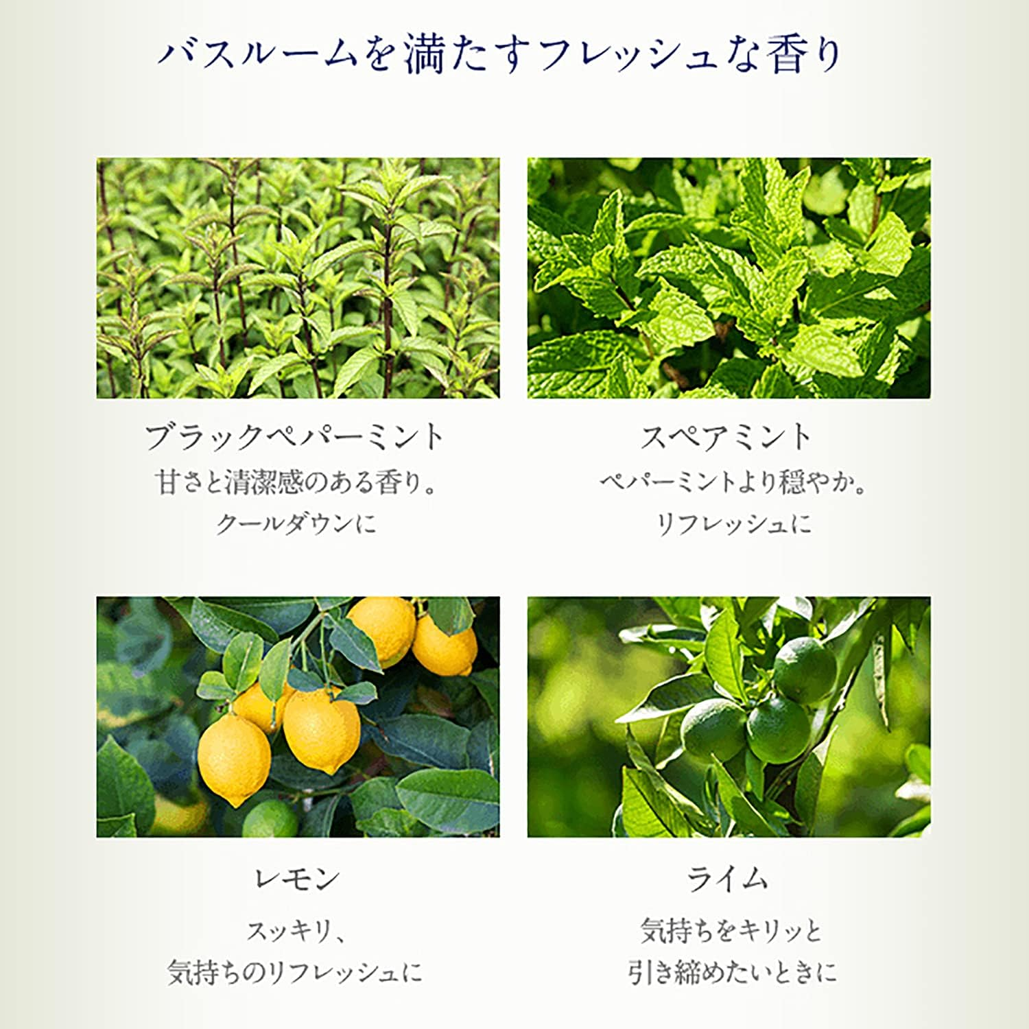 NEAL'S YARD REMEDIES Refreshing Body Wash, 6.8 Fl Oz (200 Ml)