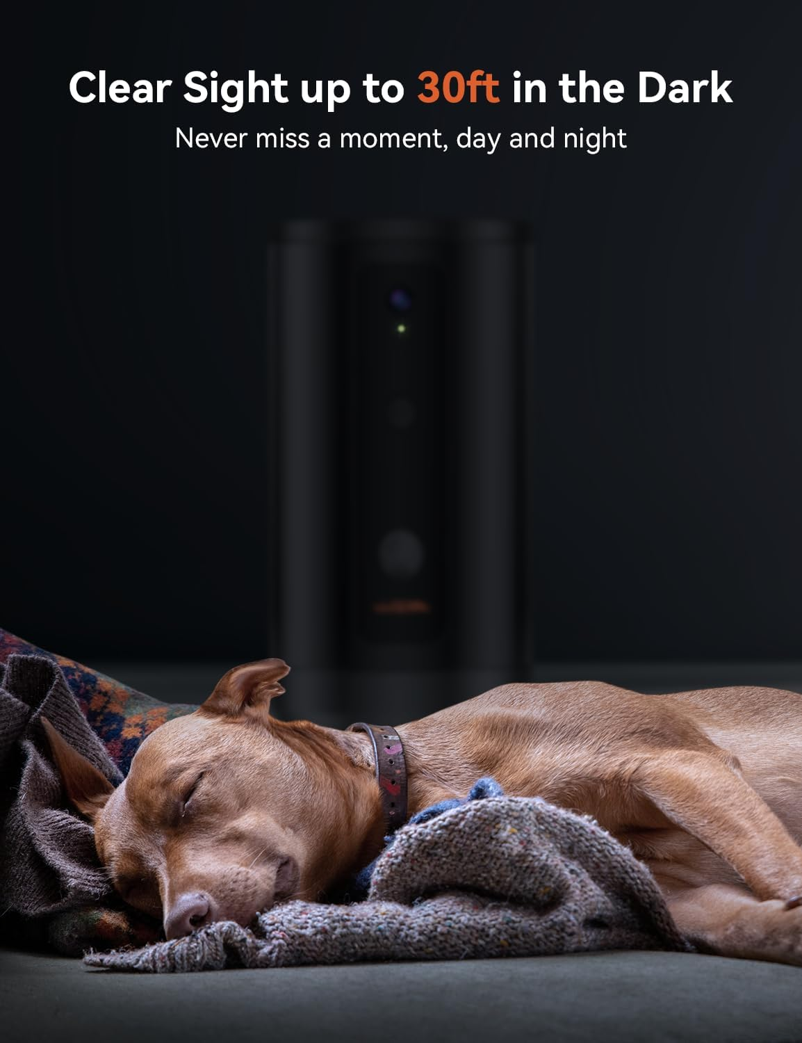 WOPET 300&deg; Dog Camera with Treat Dispenser, [New 2024] 5G Wifi Pet Camera Treat Tossing for Cats and Dogs, 1080P HD with Night Vision, 2-Way Audio for Monitoring Your Pet on Phone App image number 4