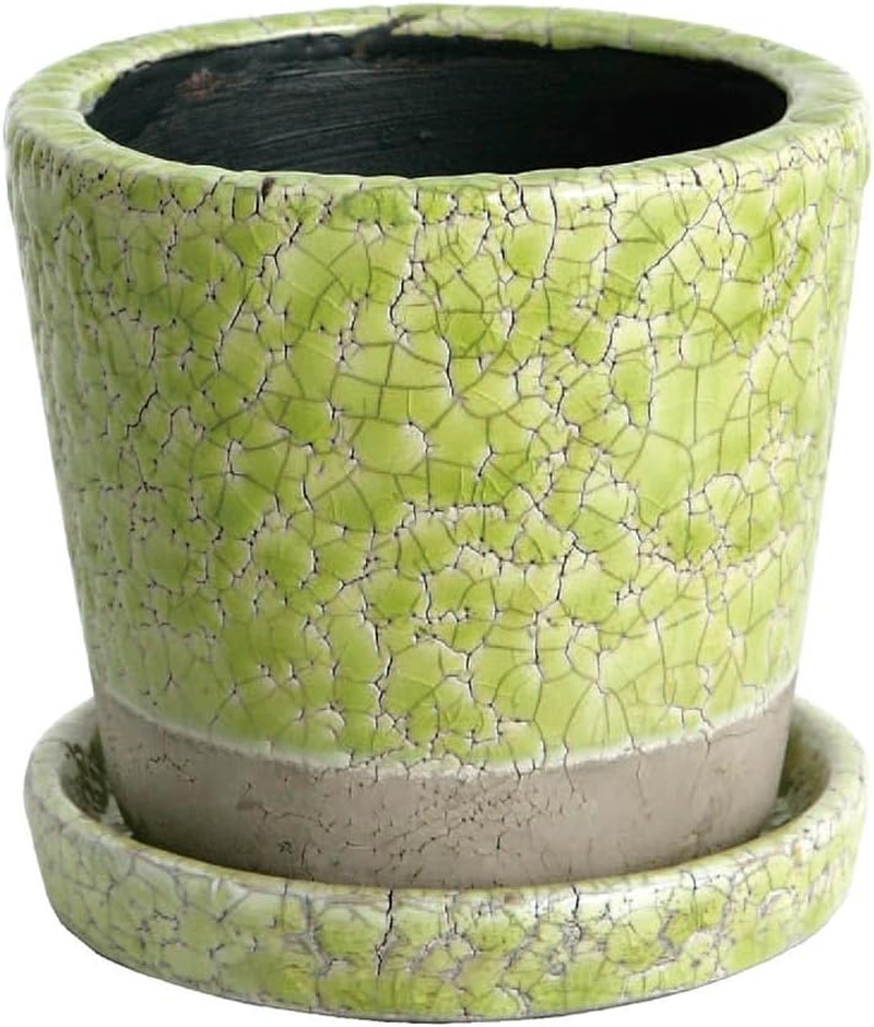 Dulton CH13-G476LGN Color Glazed Pot, Gardening Supplies, Color Lime Green, Size M, with Bottom Hole image number 6