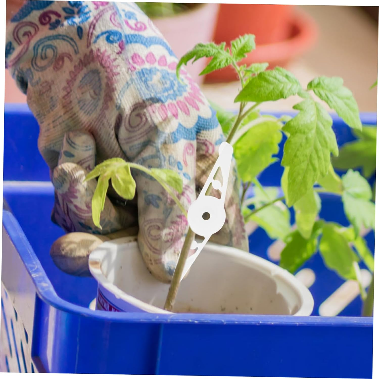 CIYODO 30Pcs Stem Bending Tool for Plant Training Plant Clips Stem Training Clips for Gardening image number 6