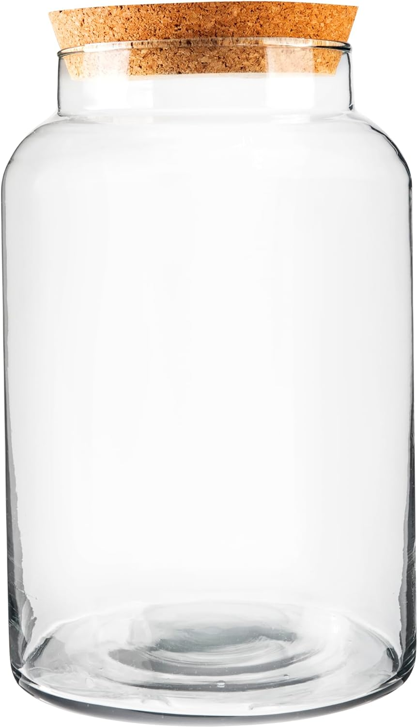 Generic Terrarium Glass Bottle with Lid, Clear, Medium image number 1
