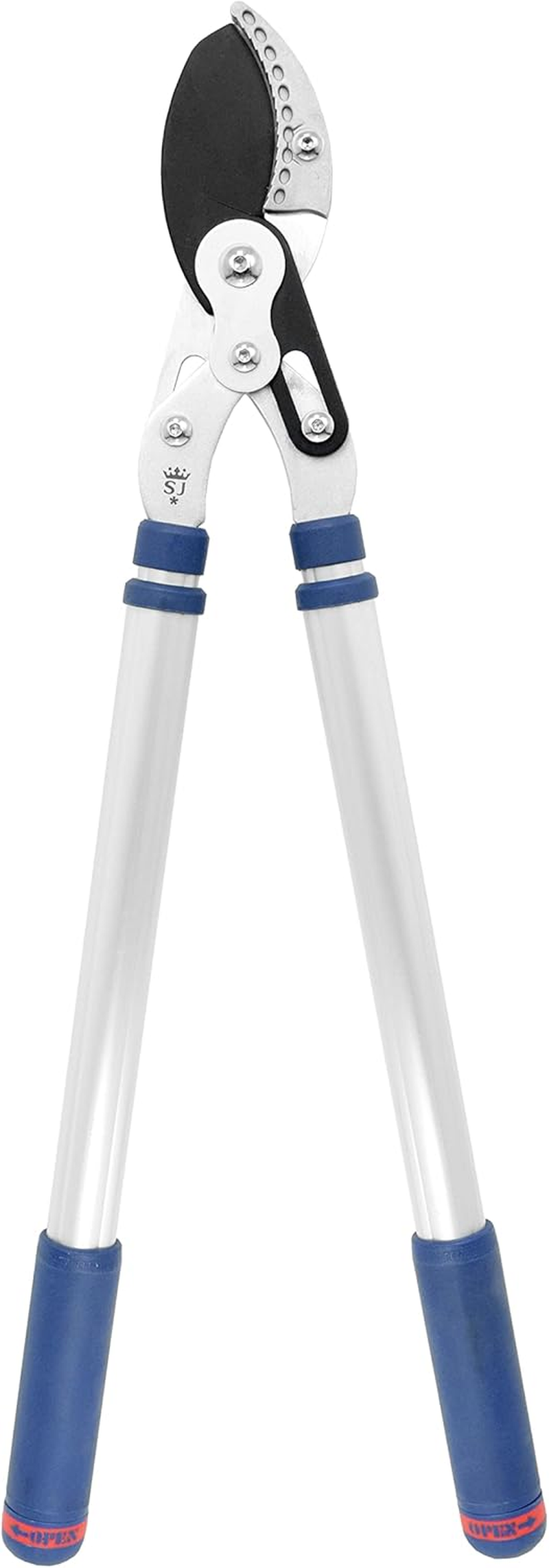 Spear & Jackson Razorsharp Tele Anvil Dual Compound Loppers, 480-800 Mm Length 67.5X25.5X3.5 Cm,Sliver/Blue,8081Rs