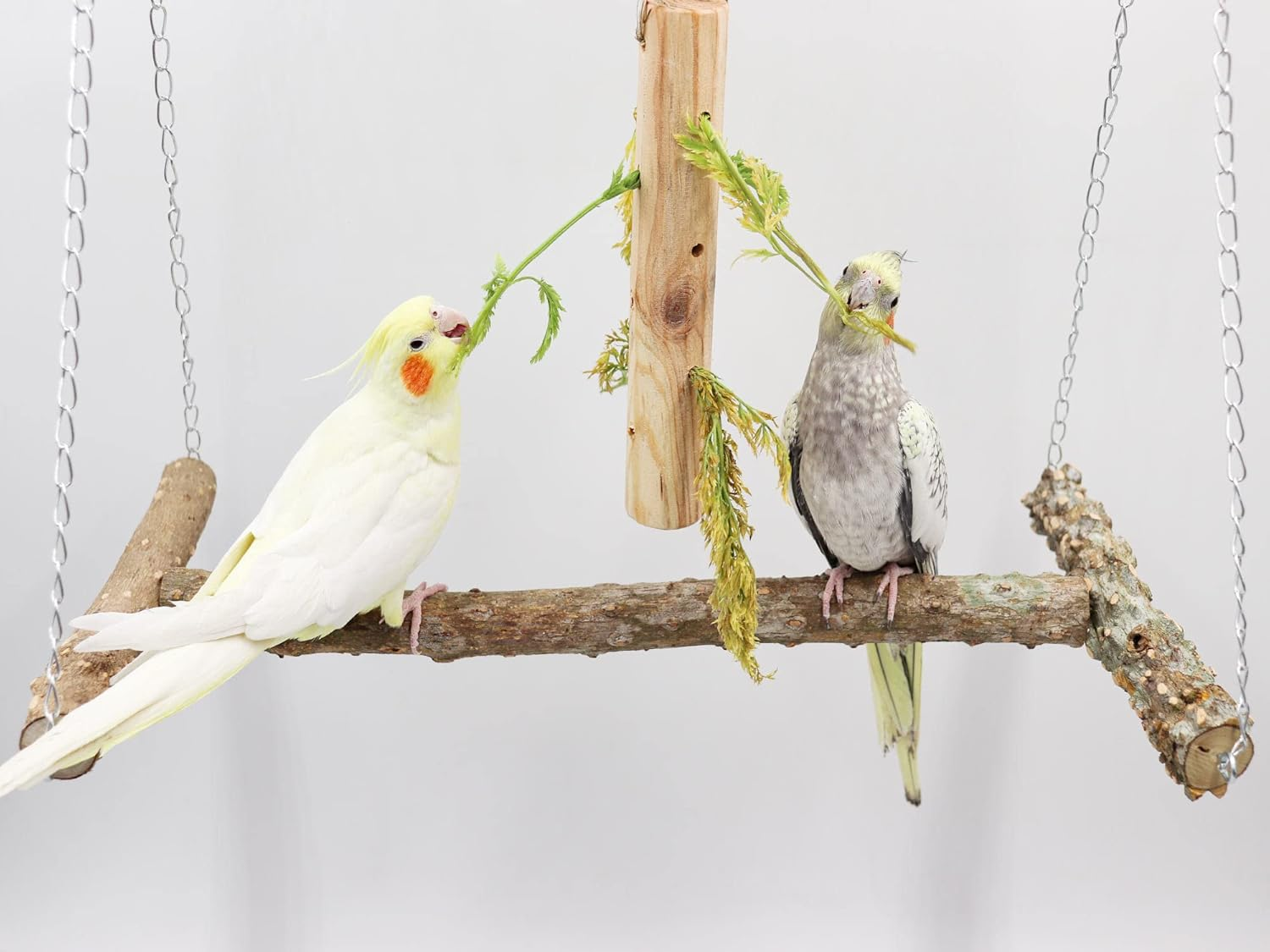 Large Bird Perch Swing Toy, Natural Pepper Wood Parrot Perch Stand Toy, Hangable Birdcage Accessories with Stainless Steel, Bird Chewing Toy for Parrot Parakeet Budgies Lovebirds(18&times;10 Inches(L&times;W)) image number 5