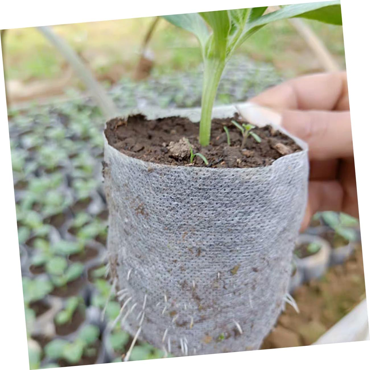 SUPVOX Planting Bags for Succulent Vegetable Herb Growing Non-Woven Plant Nursery Pouches Garden Supplies Grow Bags Flap Biodegradable image number 2