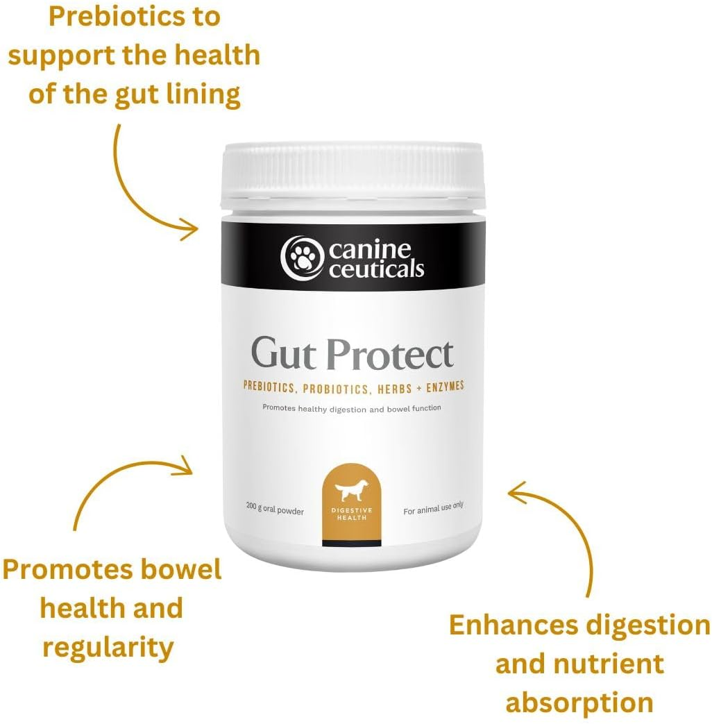 Gut Protect - Digestive Support for Dogs - Prebiotics, Probiotics, Herbs & Enzymes - Gut Flora, Nutrient Absorption & Immunity - Eases Discomfort & Promotes Regularity (400 G)