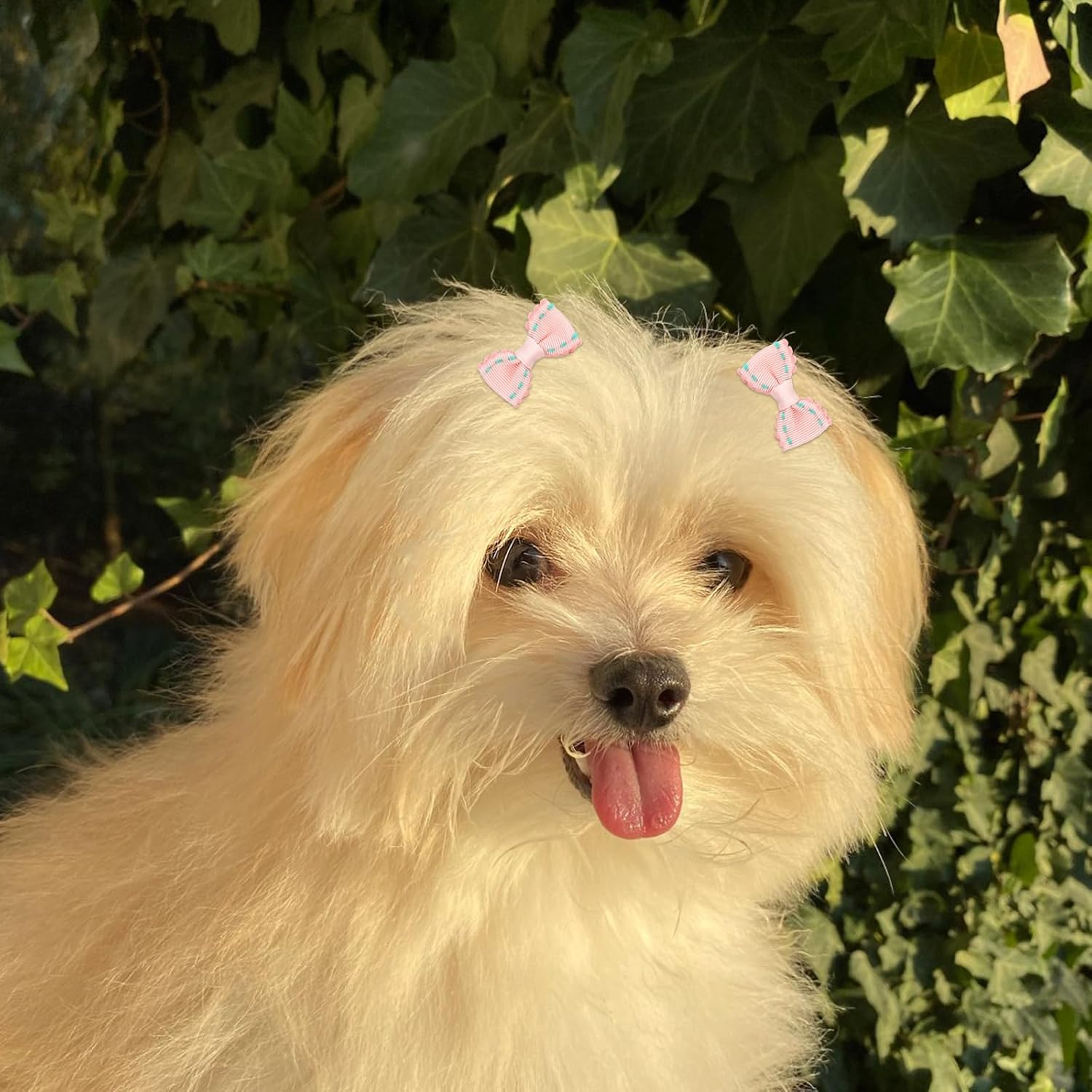 18Pcs Dog Hair Bows with Rubber Bands, Pink Small Dog Hair Bows Cute Puppy Bows Dog Hair Ties Flower Ball Bunny Bowknot Dog Hair Accessories Pet Hair Bows image number 4