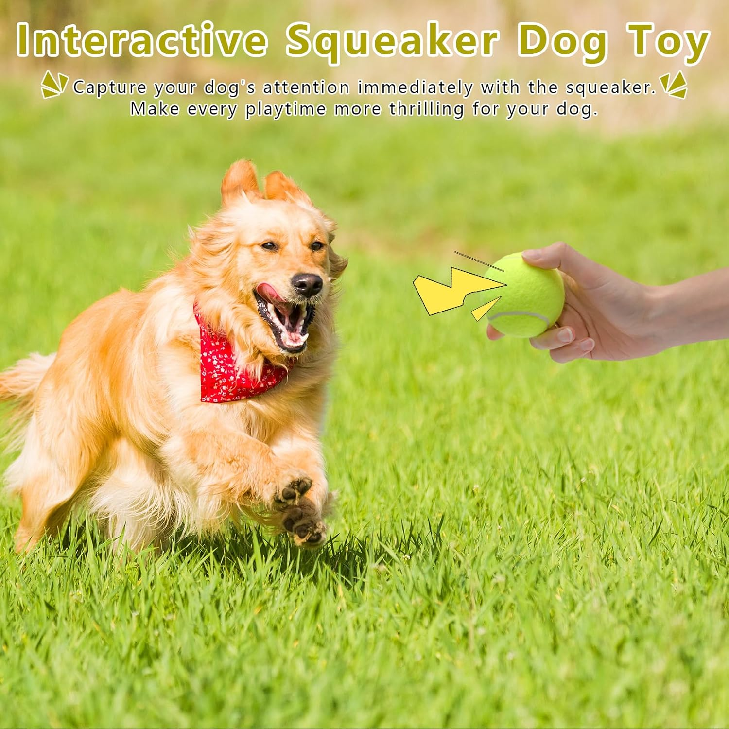 Magicorange Dog Tennis Balls, 20 Pack 2.5 Inch Floatable Squeaky Tennis Balls for Fetch Exercise, Natural Rubber Squeaky Dog Balls Training Safe (Yellow, 2.5Inch) image number 3