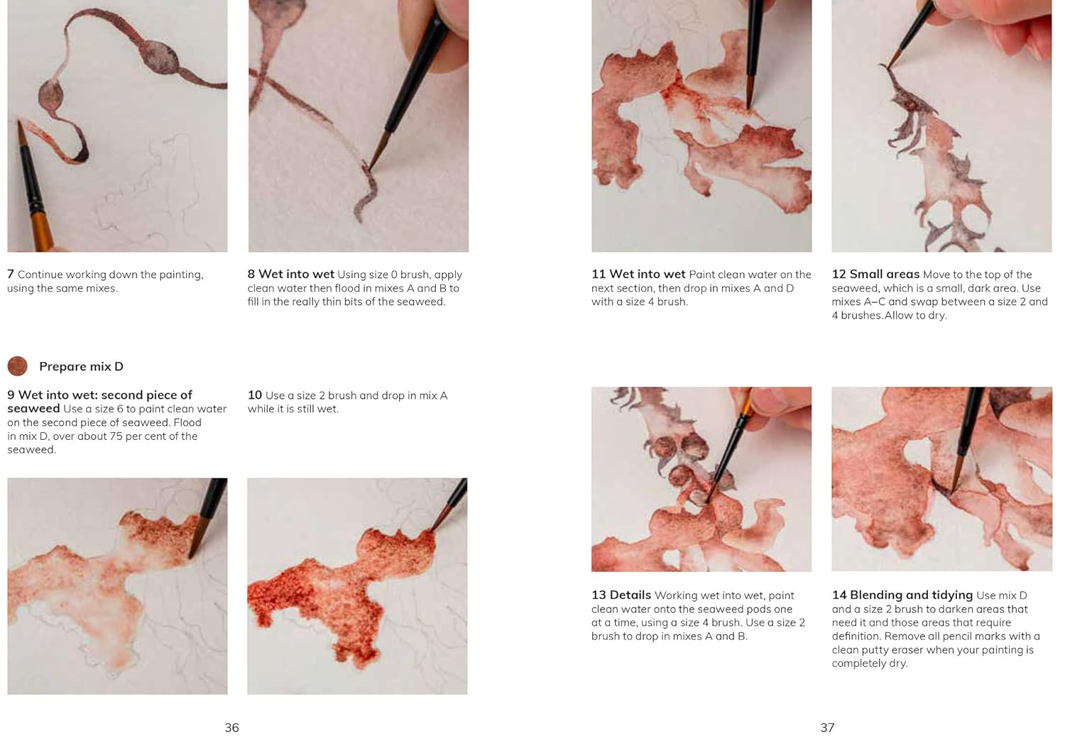 Watercolour Seashore image number 2