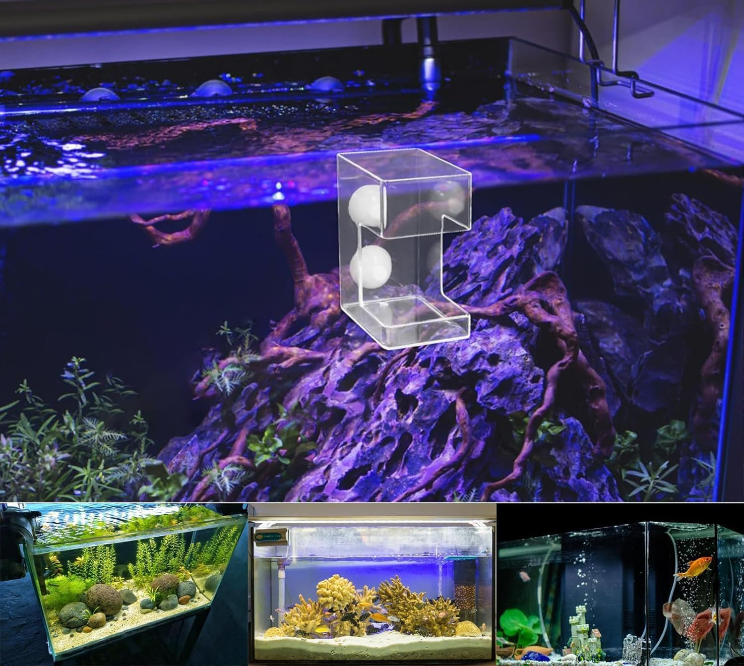 Clear Acrylic Fish Feeder with Suction Cup, Mess-Free Feeding Tray and Tube for Betta, Shrimp and Aquarium, Keeps Tank Water Clean