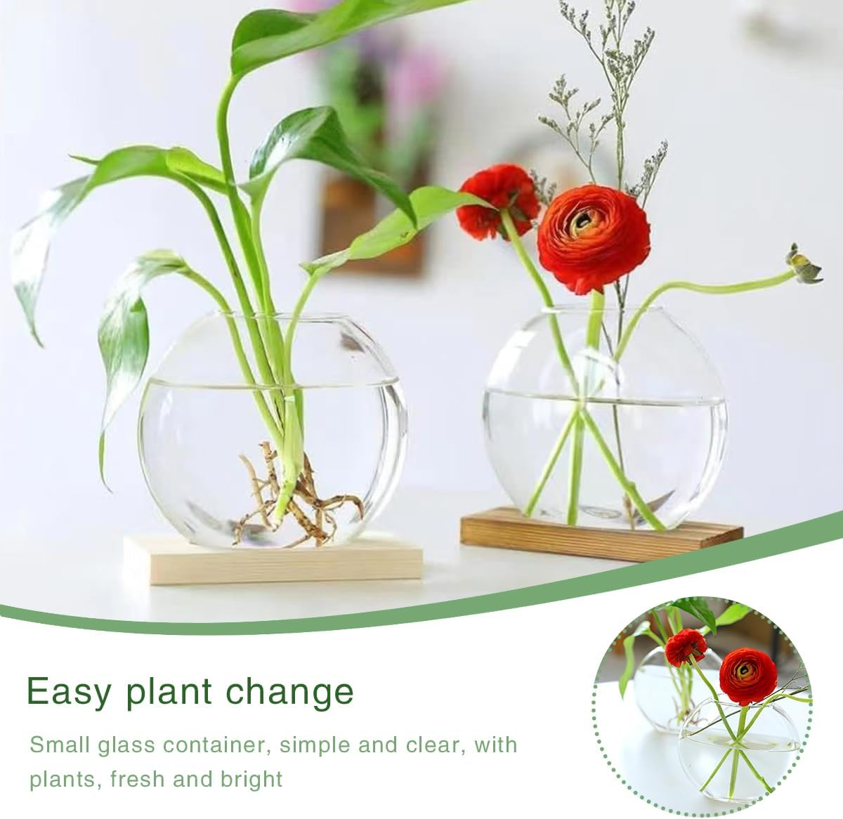 Desktop round Glass Planter Terrarium Flower Vase with Wooden Stand for Propagation Small Hydroponic Plants Home Office Decor, 2 Pack (Brown) image number 3