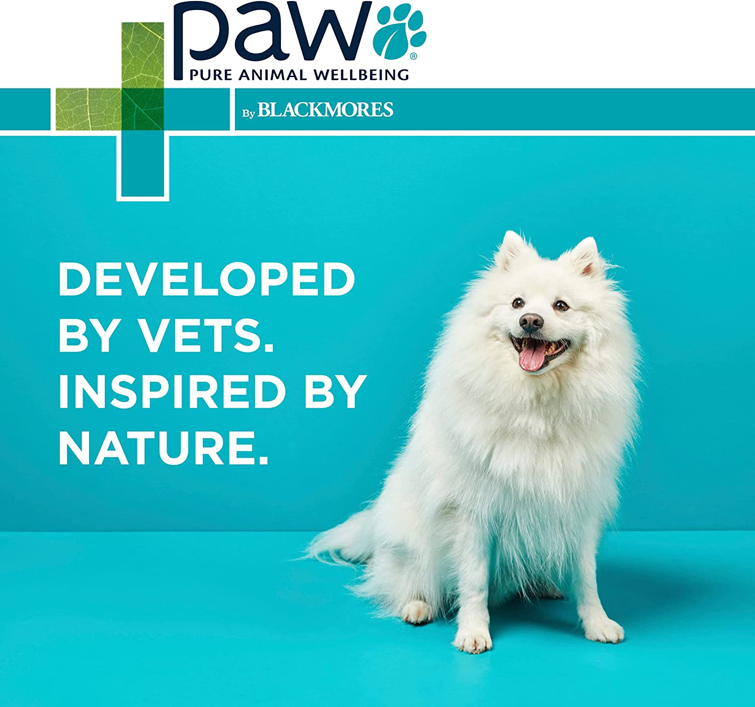 PAW by Blackmores Nutriderm&reg; Replenishing Conditioner for Dogs and Cats | Moisturises & Provides Key Nutrients | 500Ml image number 5