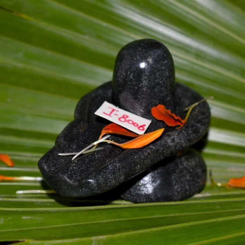 Black Marble Shivling,Shiva Lingam- 3" in Length.- Energized Beautifully Handcrafted Linga for Spiritual Powers Enormous Wealth and Prosperity Baneshwar Narmadeshwar Banalingam Shivling - I-8006 image number 3