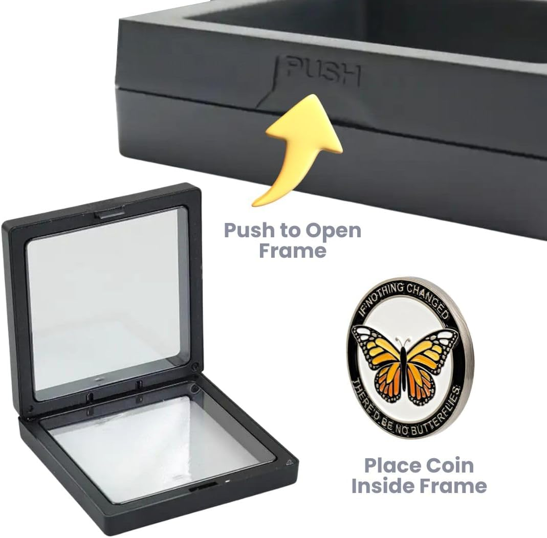 Butterfly Sobriety Coin, Sober Chip, Aa Recovery Medallion, Floating Display Frame image number 3