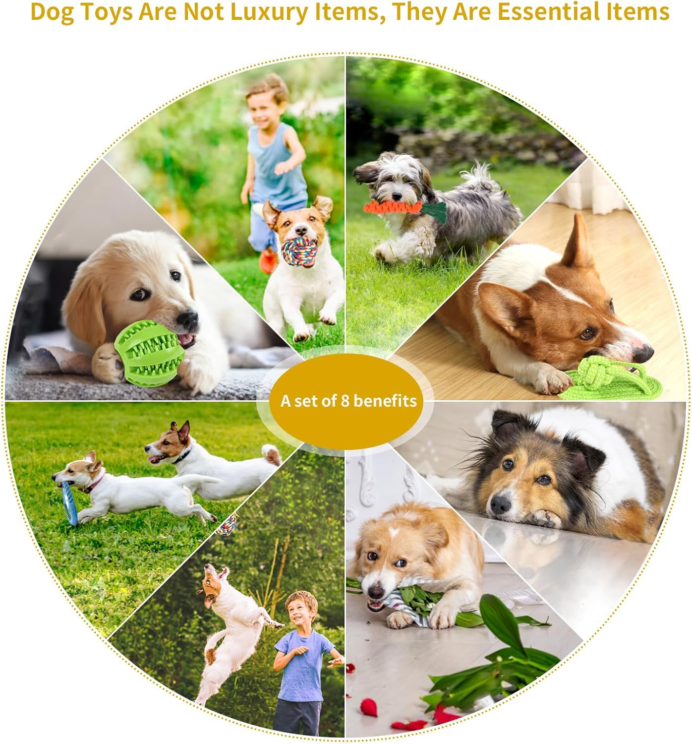 Jasonwell Dog Toys Durable Puppy Teething Toys Dog Chewing Rope Puppy Ball Interactive Dog Toy for Small Big Dogs Teether Rope Dog Toy Set (24Pcs) image number 3