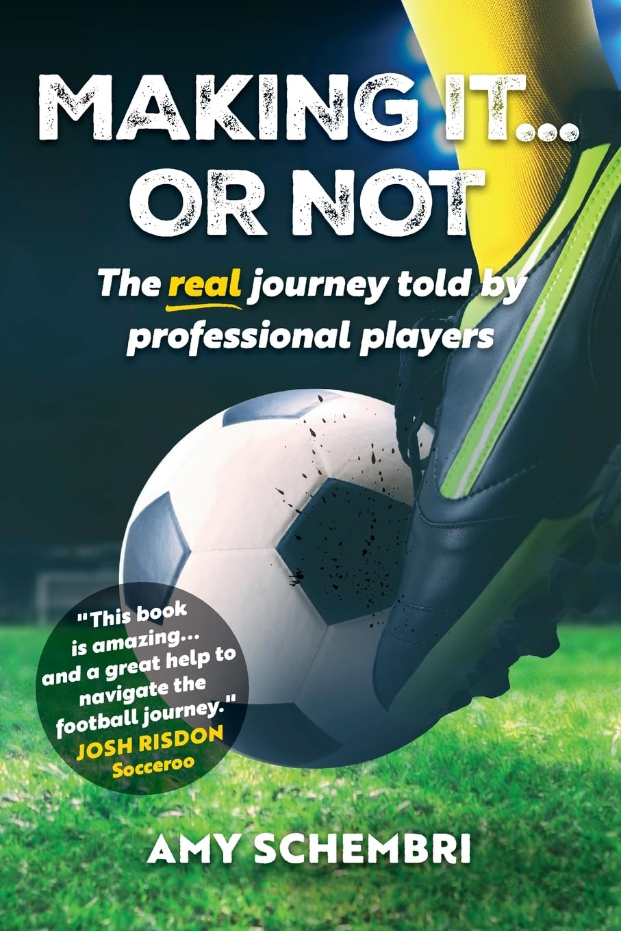 Making It...Or Not: the Real Journey Told by Professional Players