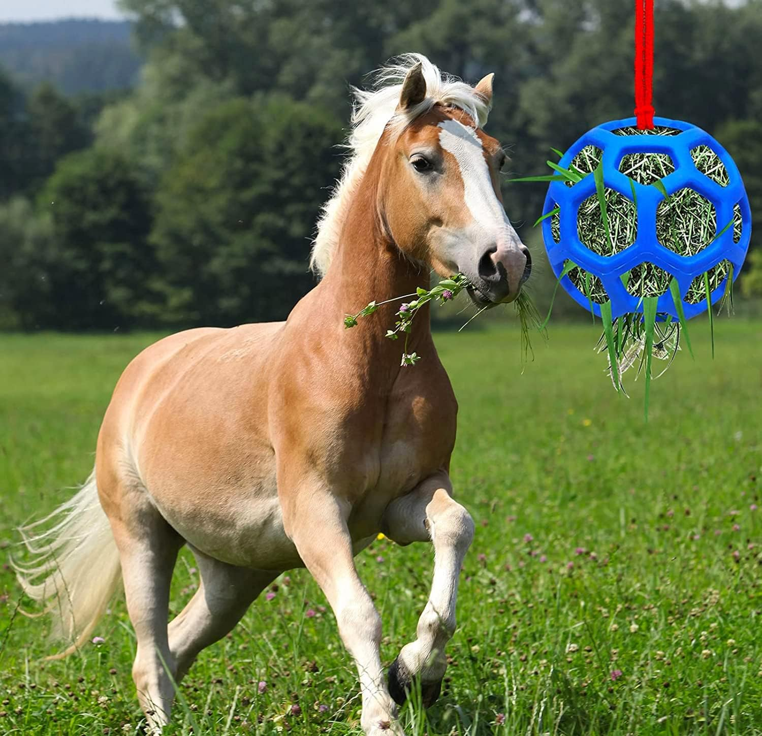 Horse Treat Ball Hay Feeder Holder Hanging Slow Feeding Toy for Goat Sheep Horse Stable Stall Paddock Rest Relieve Stres image number 1