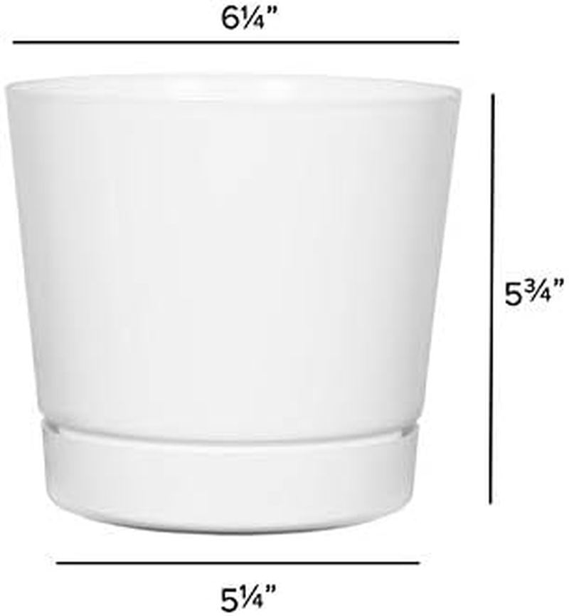 Novelty Majestic Full Depth round Cylinder Pot, Glossy White, 6-Inch (10062) - 6-Inch, White image number 6