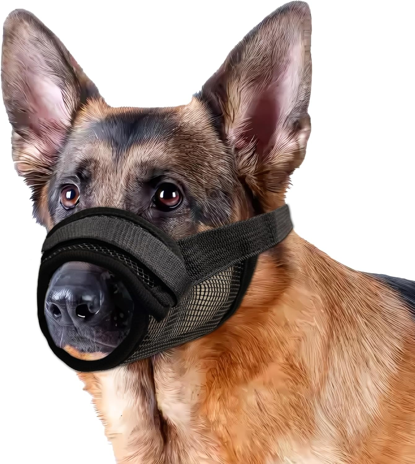 Viiotu Dog Muzzle, anti Barking Device for Small, Medium, Large Dogs, Adjustable Soft Breathable Mesh Muzzle, Prevents Biting,Barking,Chewing (Black, L)