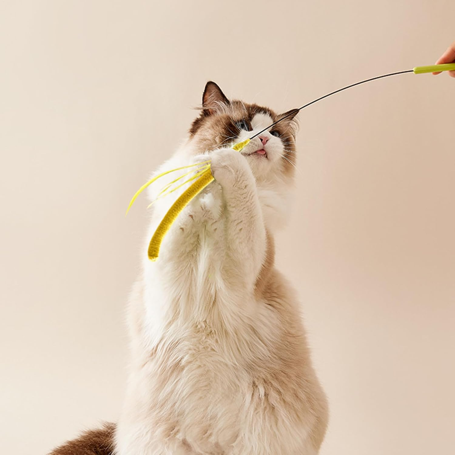 Cat Wand Toy - Simulated Setaria Kitten Toy Rod | Cat Stick | Simulated Dogtail Grass Teaser | Faux Grass Shaped Plush Rod for Physical Training and Playing - Yellow image number 4