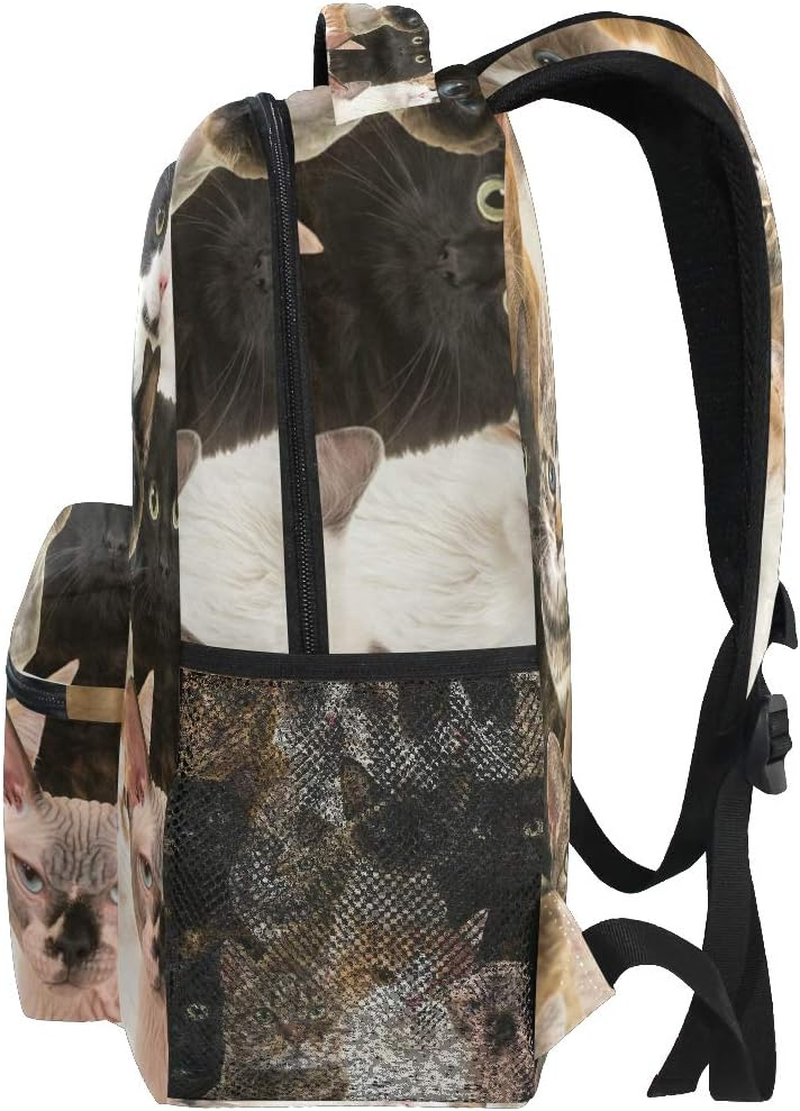 Rootti Backpack Bag Cat Animal Print Daypack Canvas School with Travel Bookbag Backpack for Teen Boys Girls Men and Women, Multi, One Size image number 1