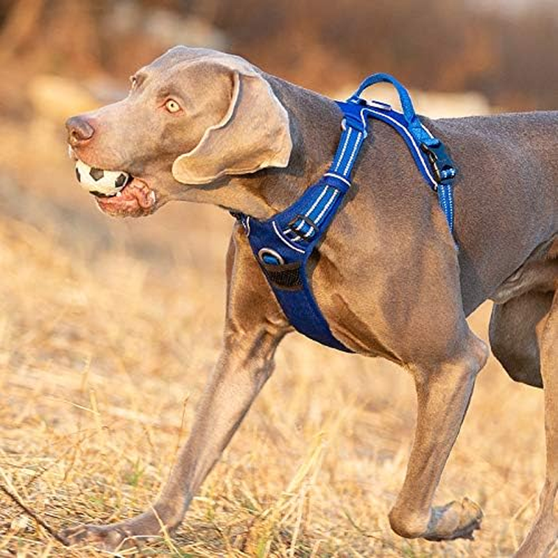 Truelove No Pull Dog Harness, Reflective Dog Harness for Dogs, Adjustable Soft Padded Pet Vest with Easy Operation Handle TLH56512 image number 2