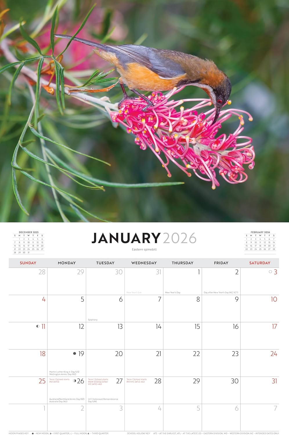 Australian Birds - Steve Parish 2026 Horizontal image number 1