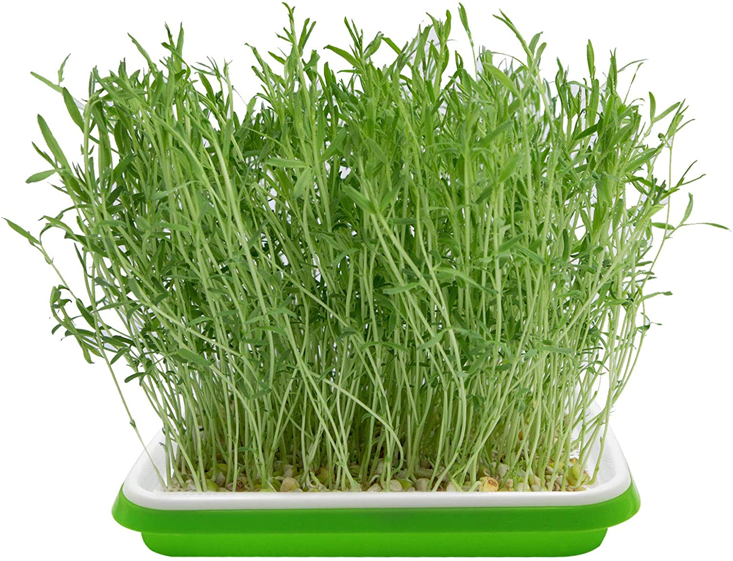 5 Layers Seed Sprouter Tray with Stainless Steel Shelf Soil-Free Healthy Wheatgrass Seeds Grower and Storage Trays for Garden Home Kitchen Office(5 Pack Seed Sprouter Trays with 5 Layers Shelf) image number 3
