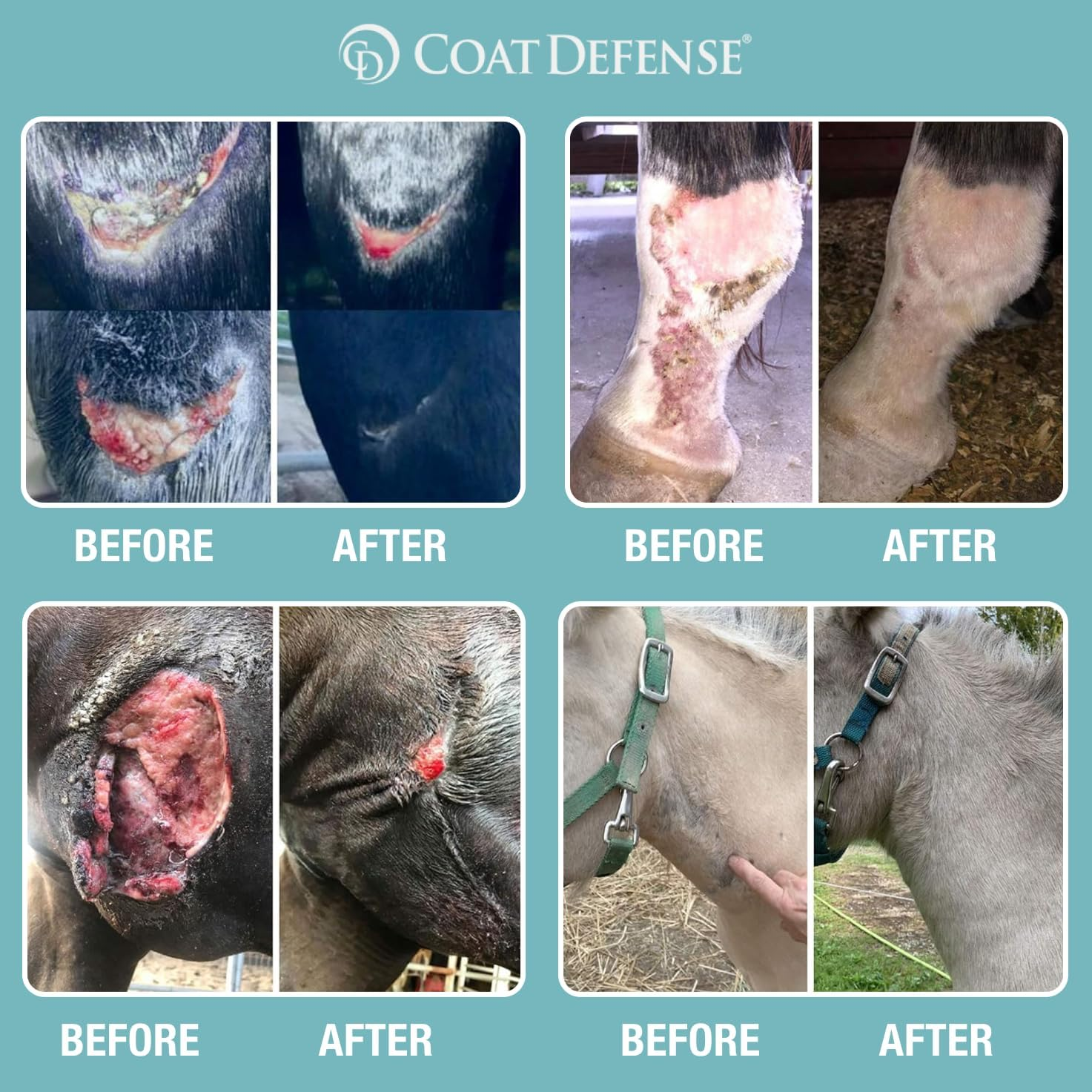 COAT DEFENSE Trouble Spot Drying Paste for Horses - Natural Equine Wound Care That Provides Safe & Effective Relief from Scratches, Sweet Itch, Summer Sores, Proud Flesh, Mud Fever, Girth Rot (10 Oz) image number 5