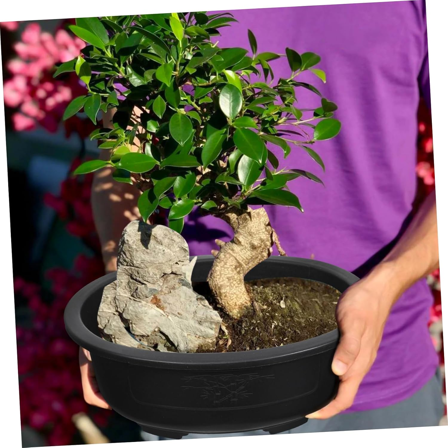 Cabilock Large Gardening Planter Pot 2Pcs Oval Plastic Bonsai Flowerpot Household Garden Supply Suitable for Indoor and Outdoor Planting image number 5