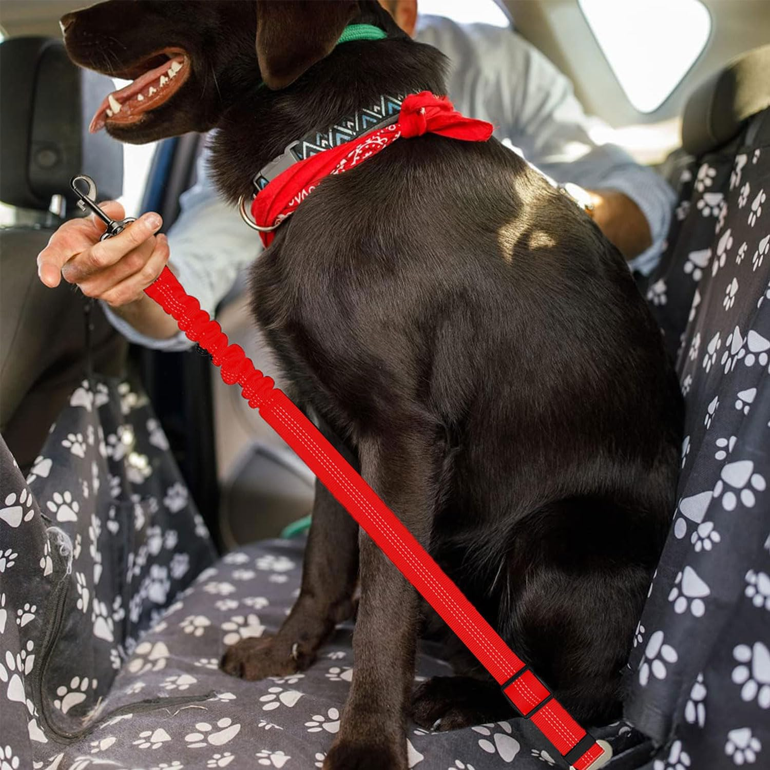 2Pcs Dog Leash, Dog Seat Belt and Leash, Nylon Pet Car Seatbelt Harness image number 3