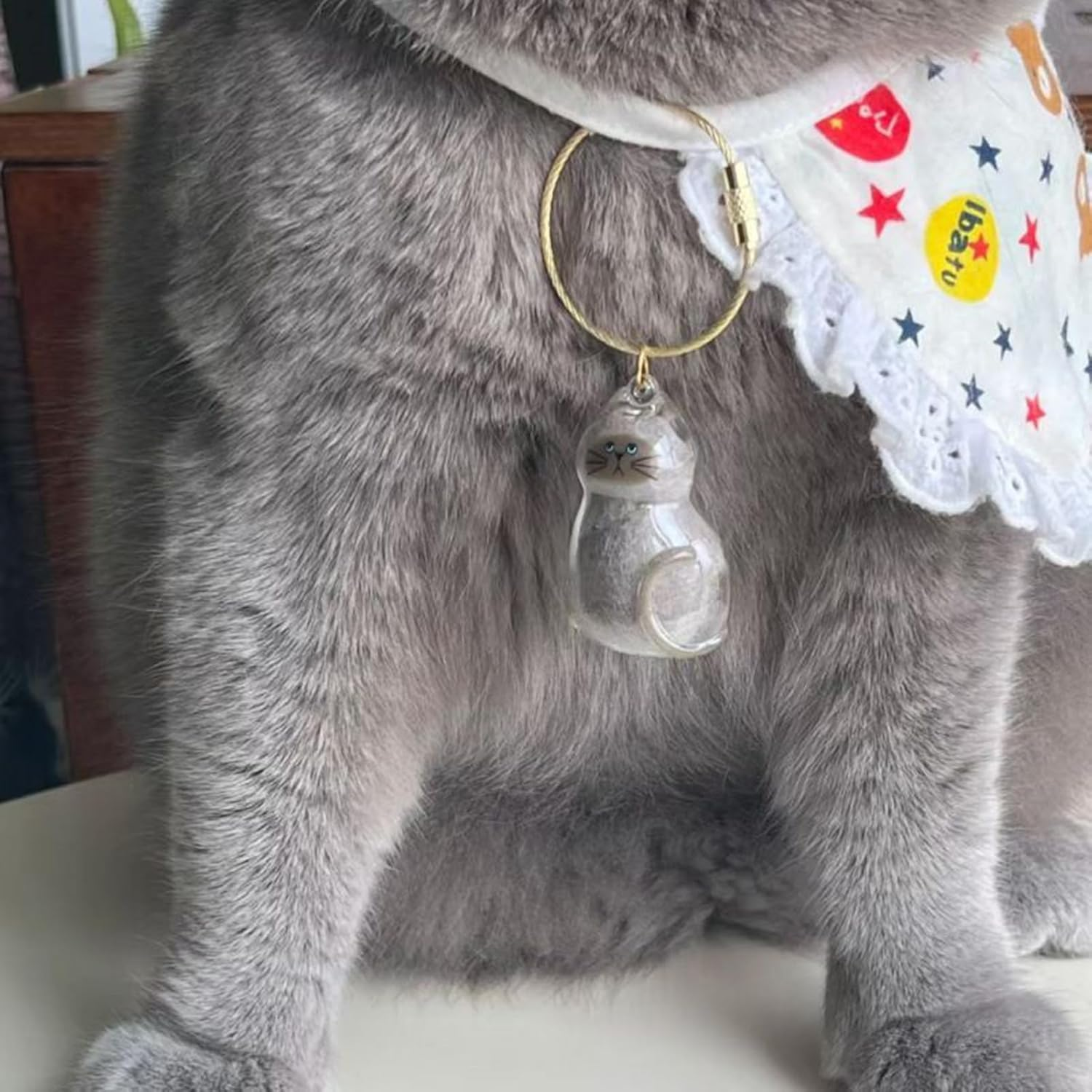 Transparent Cat Hair Storage Box, Cat Hair Storage Bottle, Pet Memorial Keepsake, with Meaningful Sympathy, Clear and Compact Design, 4.5Cm, for Friends & Family