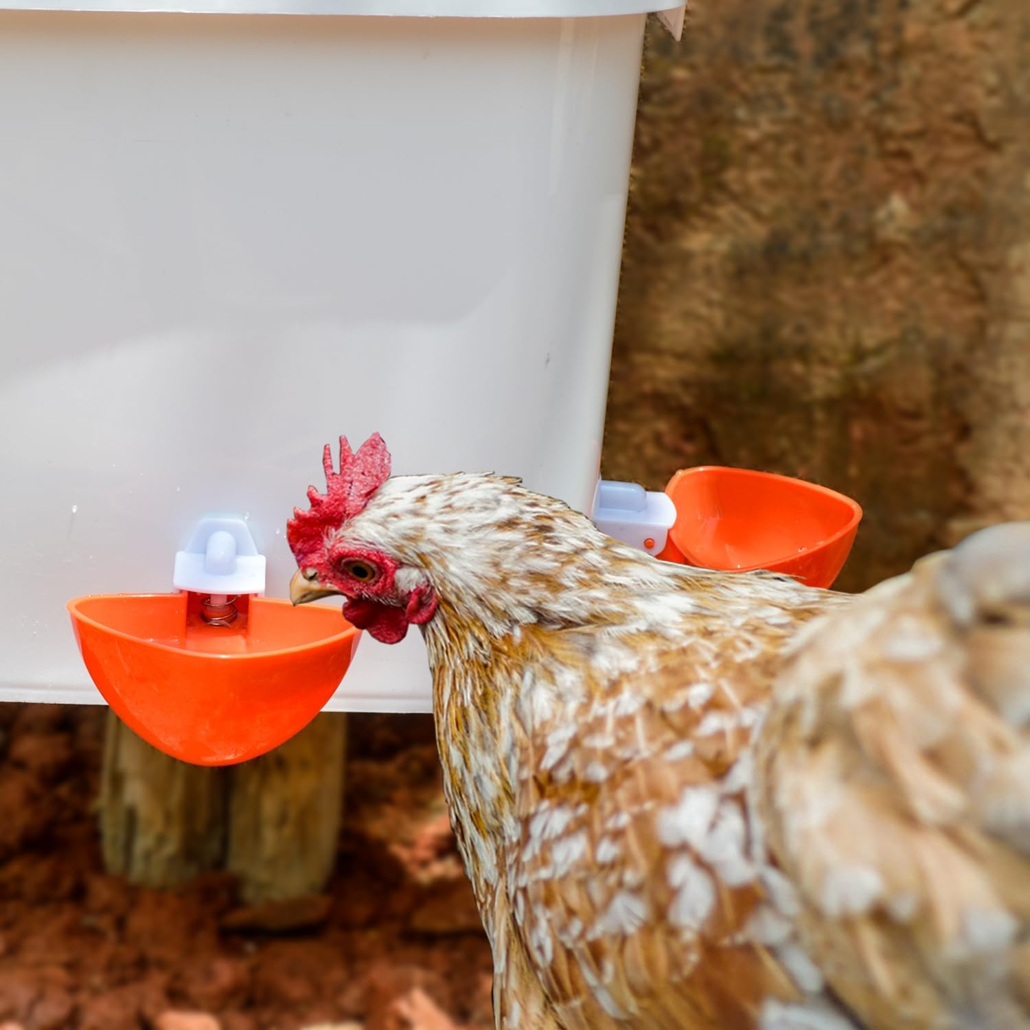 Large Automatic Chicken Feeder and Waterer Set 20Lb/ 3 Gallon Chicken Water Feeder Poultry Feed Bucket (3 Gallon and 20 Pounds, White) image number 2