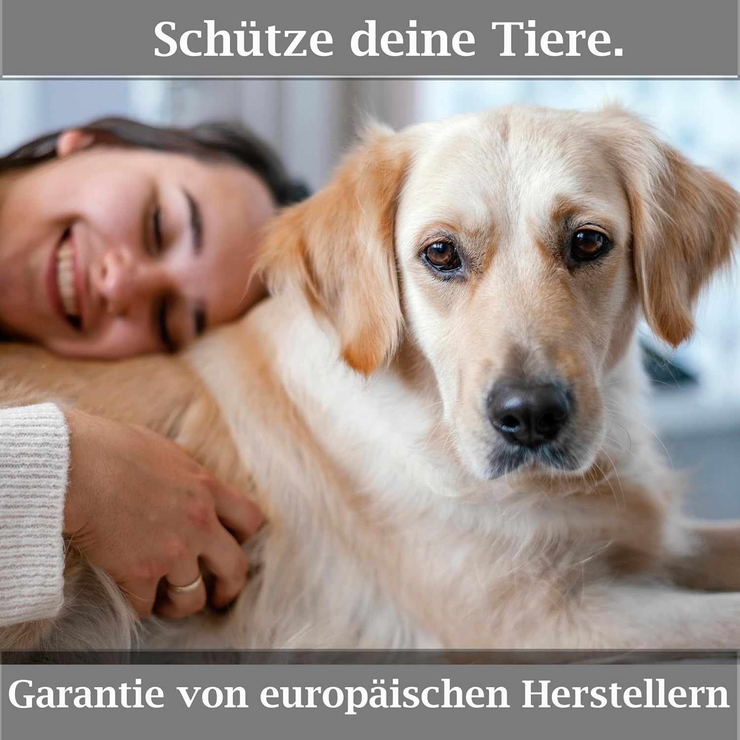 XILMARK (4X) Can Lids 800 G, Lid for Cans, Can Caps, Can Lids, Cans Stopper, Cat Food Storage, Pets Deli Dog Food, Can Lid Cat Food (Pack of 4)