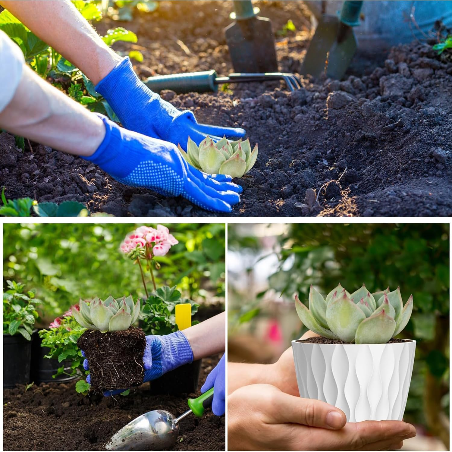 Plant Pots with Drainage 6 Inches Home Decor Flower Pots for Indoor Planter Pack of 6 Plastic Planters for Indoor Plants, Cactus, Succulents Pot - White image number 3