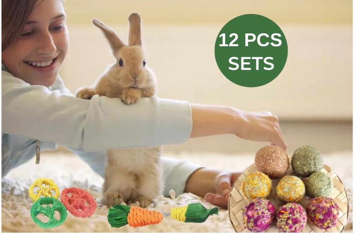 12 PCS Rabbit Toys, Bunny Toys for Rabbits, Guinea Pig Chinchilla Hamster Bunny Rabbit Chew Toys, Small Animal Teeth Care, Chinchilla Hamster Guinea Pig Rabbit Treats image number 4
