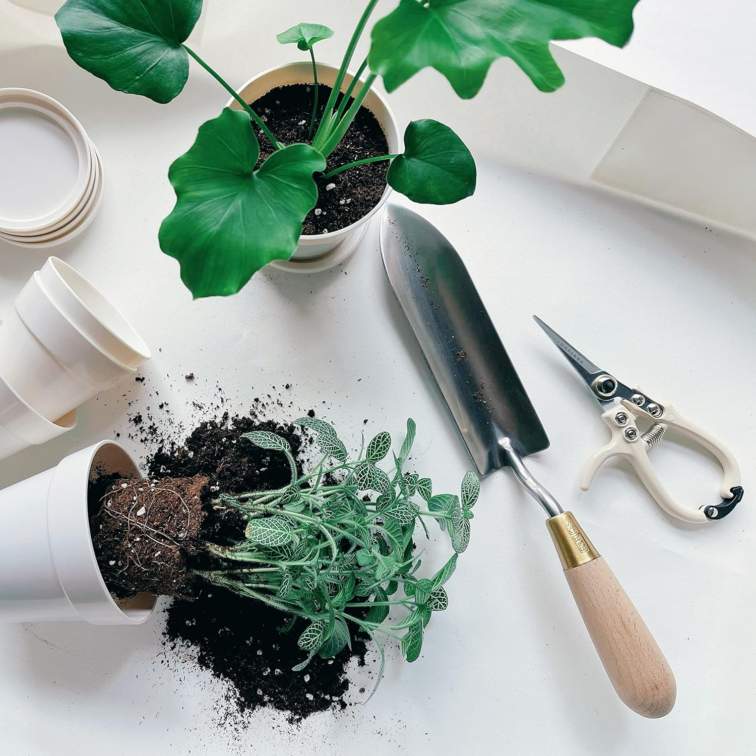 Plant Pruning Shears with Vegan Leather Sheath Garden Trimming Scissors with Belt Holster Bonsai Trimmers Herb Snips Flower Clippers Modern Tools 2 Piece Bundle (Cream Pruner Beige Sheath) image number 4