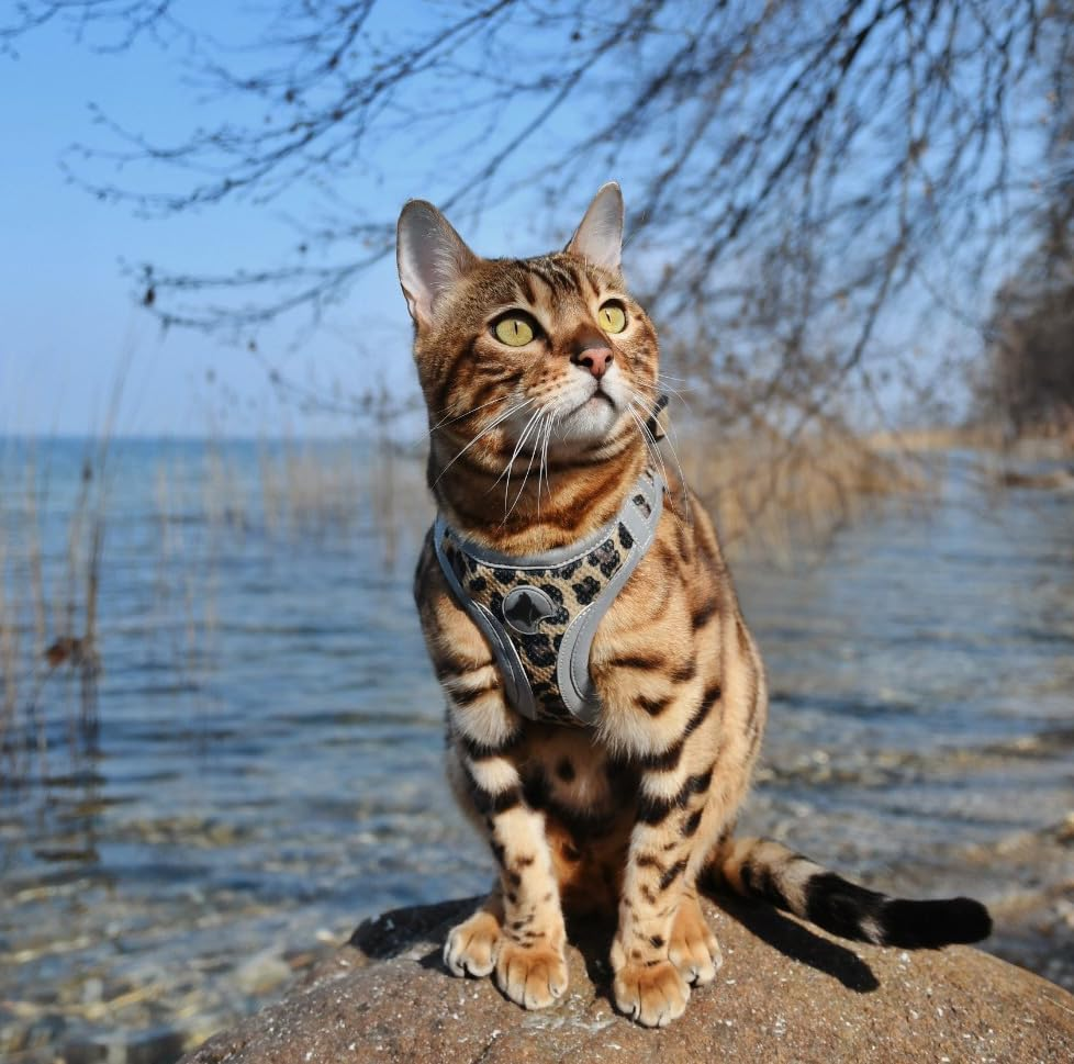 Croci Hiking Reflective Leopard S - 222G image number 1