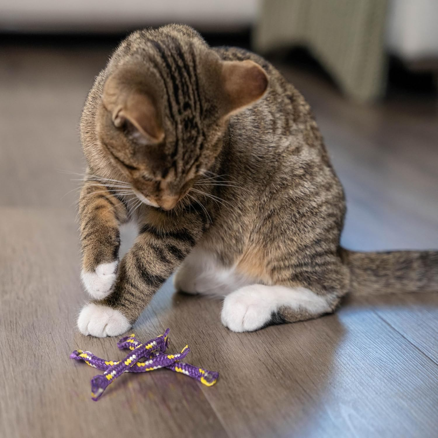 Petstages Nighttime Catnip Rolls Cat Toys - 3 Pack image number 5