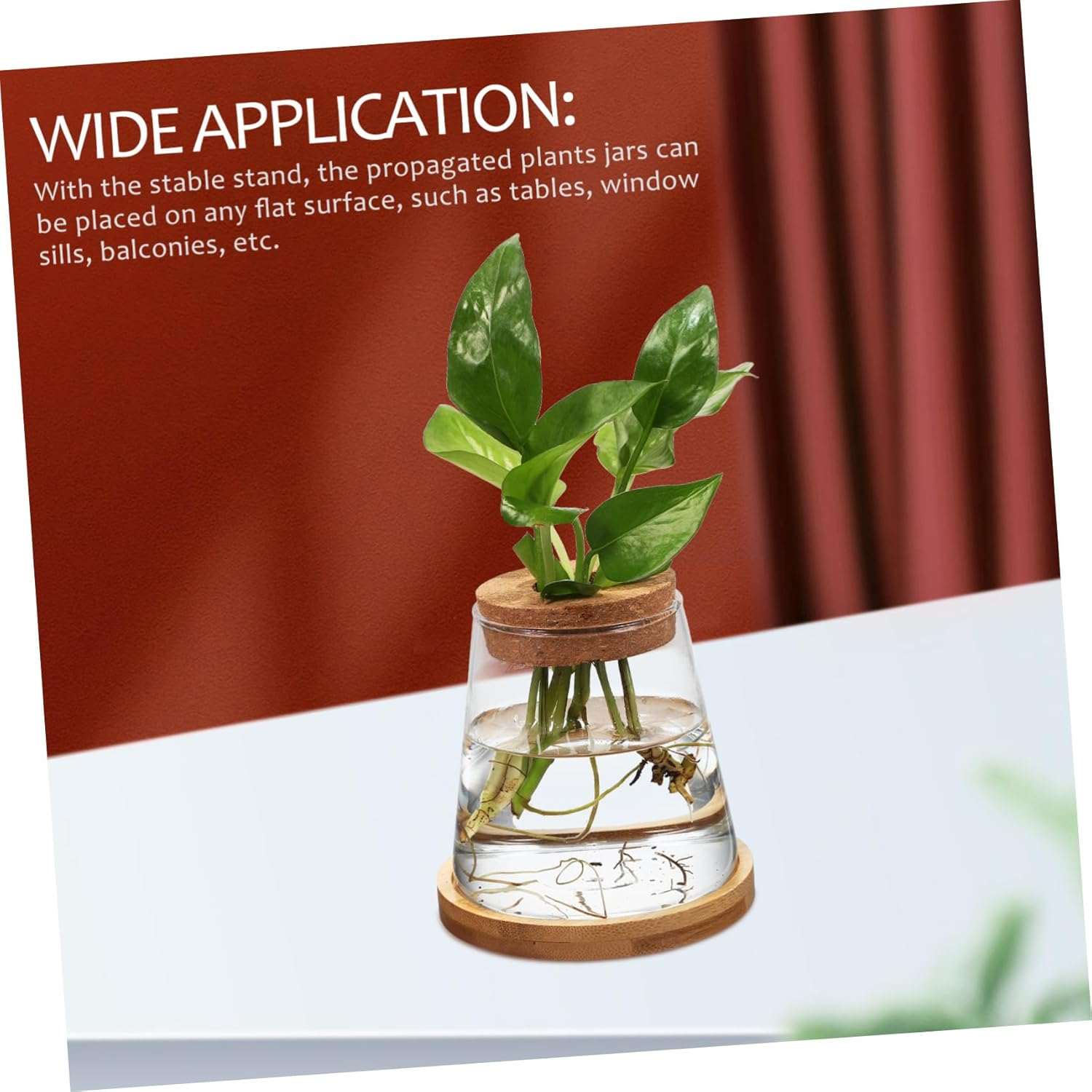 Gogogmee 2Pcs Hydroponic Propagation Station Glass Bottles with Wooden Cork and Bamboo Stand 330Ml for Indoor Plant Growing and Terrarium Gardening image number 6