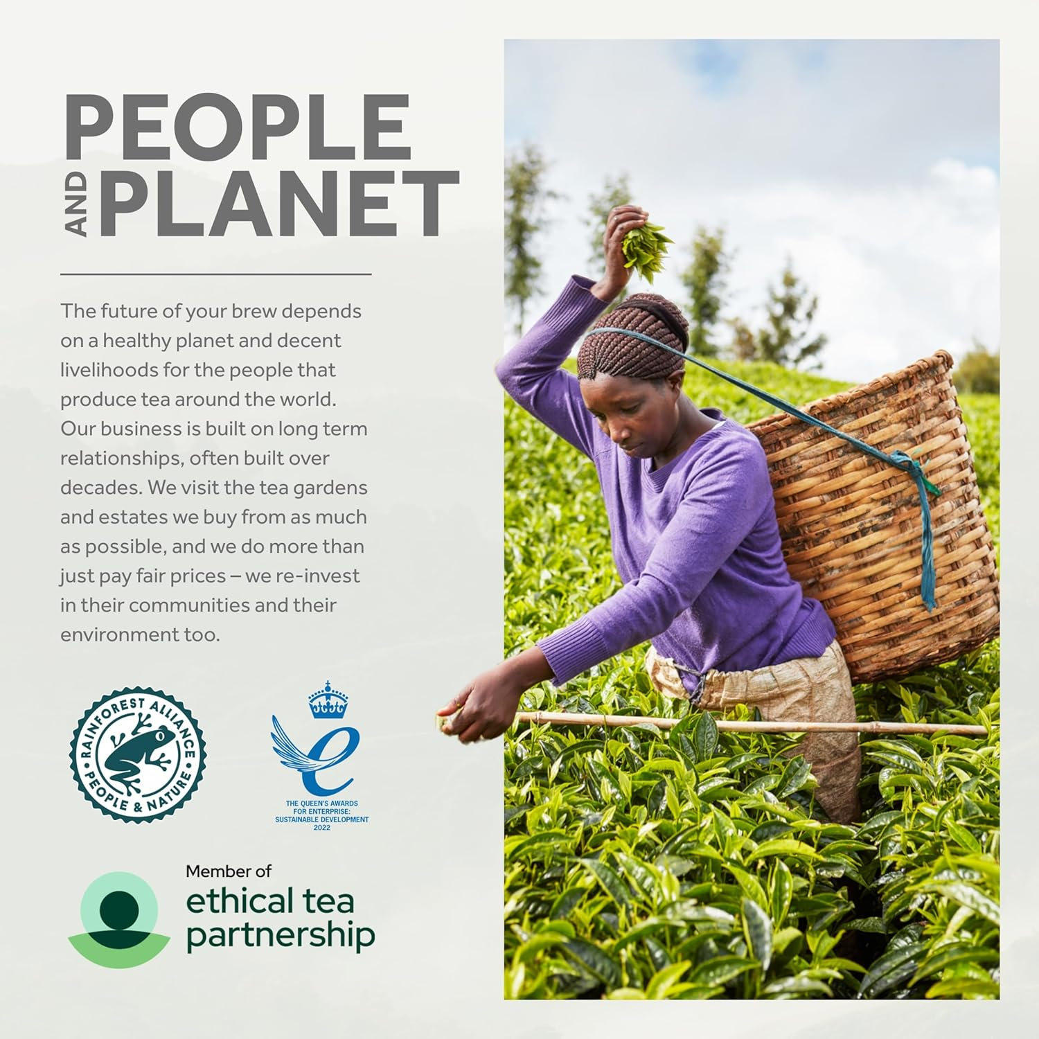 Taylors of Harrogate Yorkshire Gold, 160 Teabags image number 1