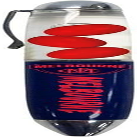 Melbourne Demons AFL Floating Footballs Pen