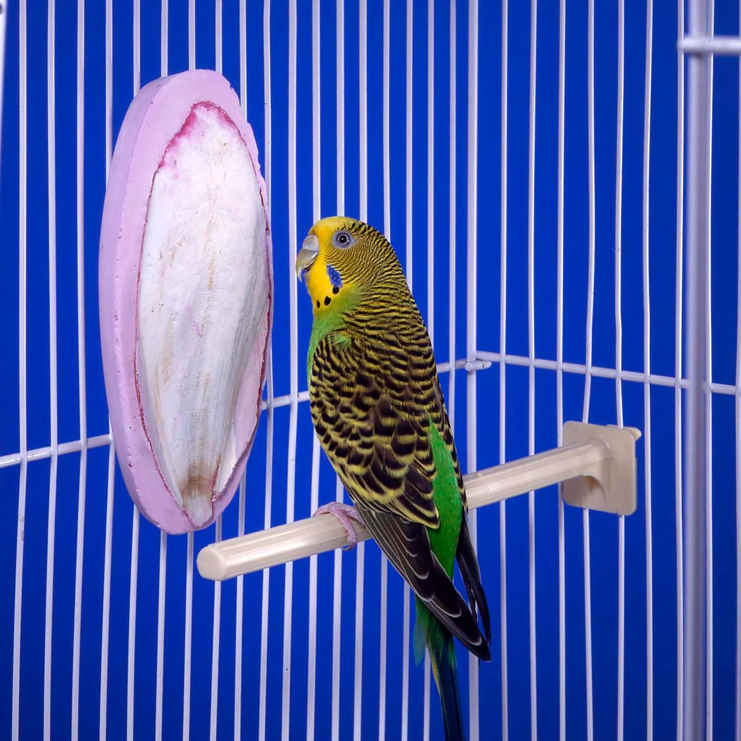 Penn Plax Bird Life E2 Berry Flavored 2-In-1 Cuttlebone/Mineral Block Treat image number 2