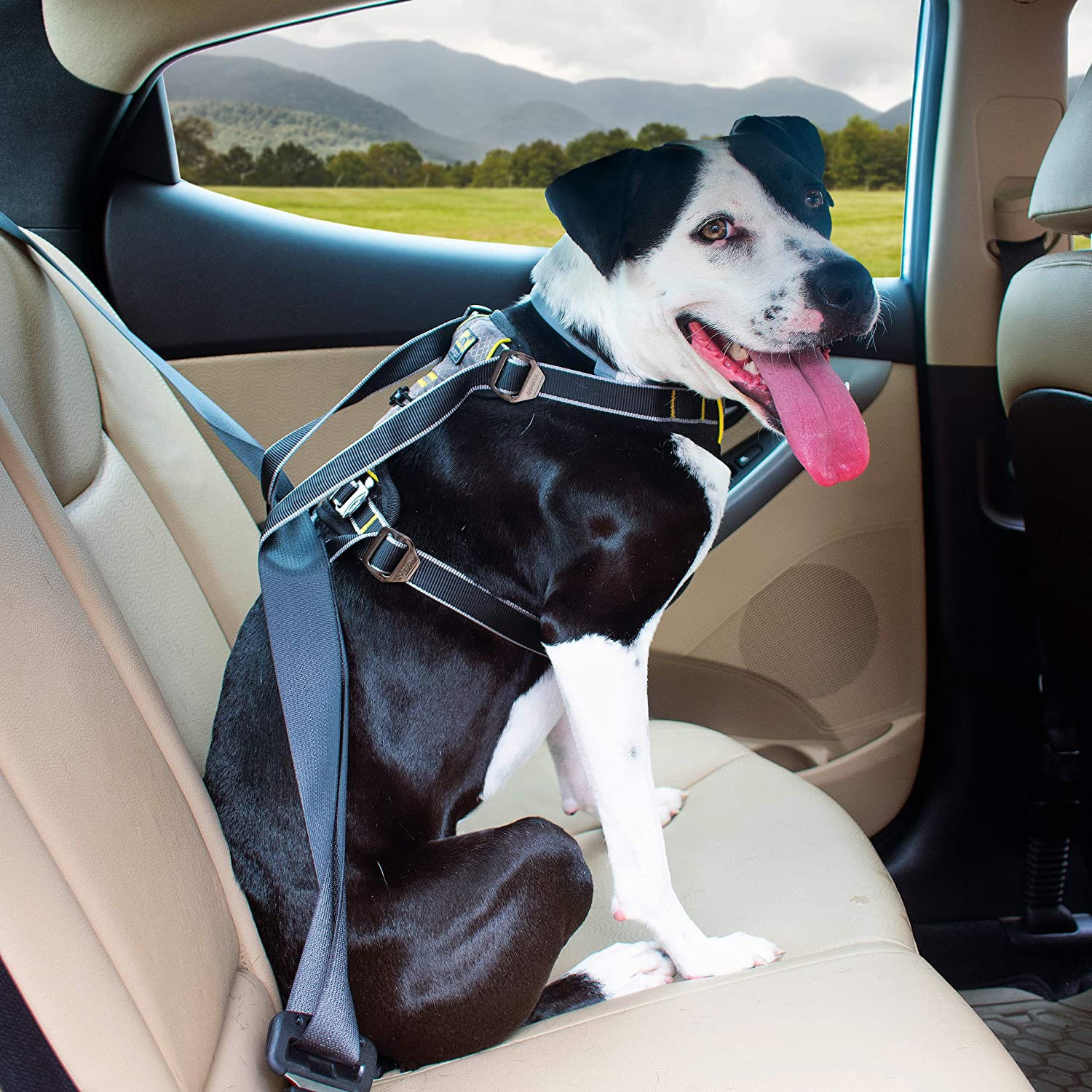 Kurgo Impact Dog Car Harness, Crash Tested Dog Car Harness, Safety Harness for Dogs, Pet Seatbelt Harness, up to 108 Lbs, for Small, Medium, & Large Dogs, Black/Charcoal (Medium) image number 6
