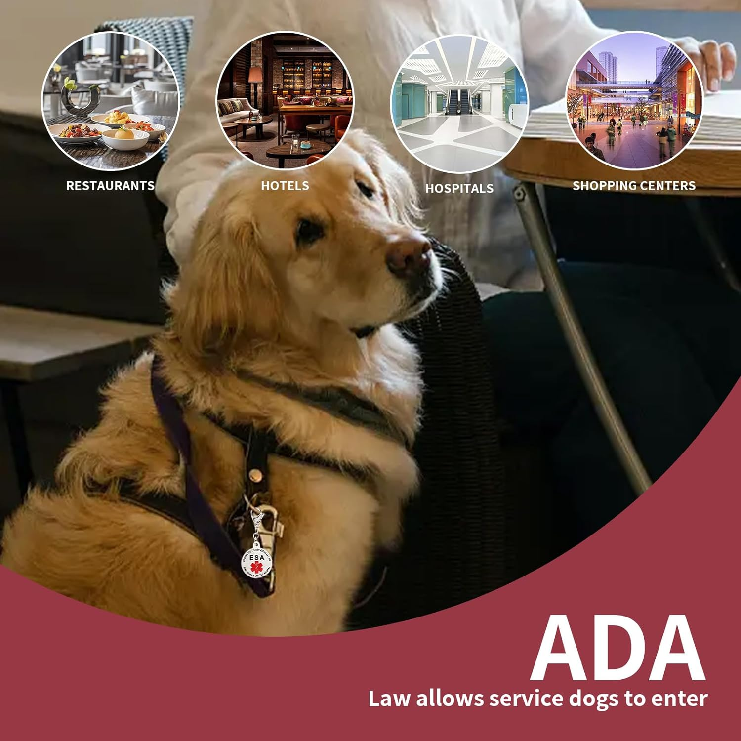 Emotional Support Dog ESA Dog Tag ID Industrial Puppy Emotional Support Dog Tag Red Medical Alert Symbol and Protected by Federal Law Navy Lettering and Red Enamel Trim for ESA and Therapy Dogs