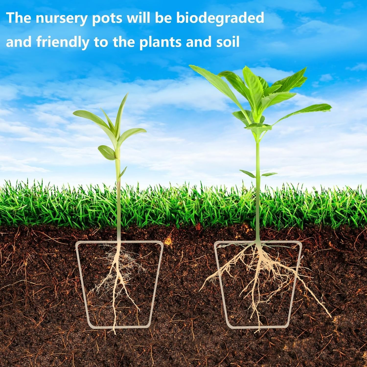 20-Pack Biodegradable Nursery Pots with Humidity Dome - 6Cm Square Seed Starter Pots for Plants, Flowers, Vegetables - Eco-Friendly Peat Pots for Seedlings Germination image number 3