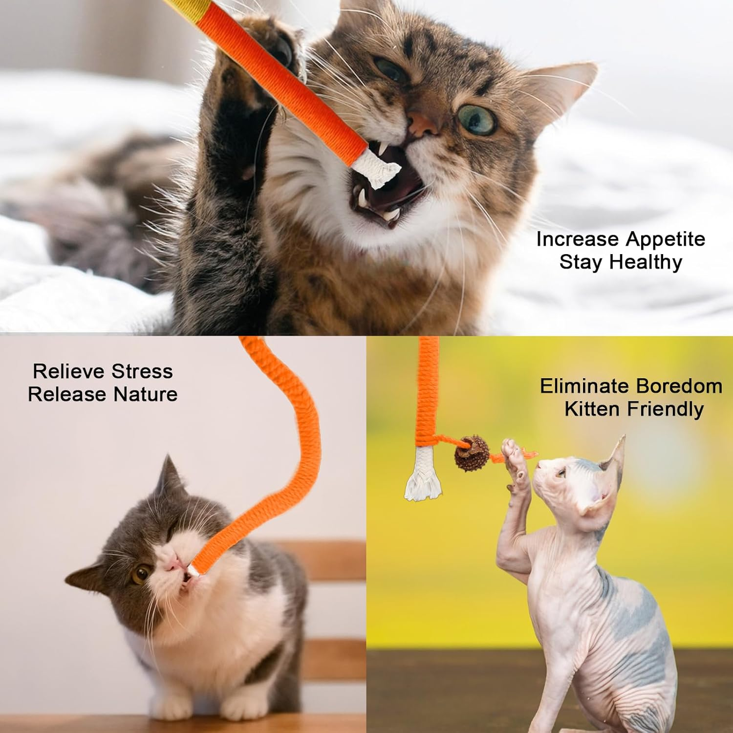 Pack of 6 Catnip Toy Teething Rope, 70 Cm / 20 Cm Cat Toy Teething Rope, Catnip Sticks, Interactive Teething Rope for Cats Chew Sticks, Cat Toy for Dental Care, Cats, Stress Relief image number 2
