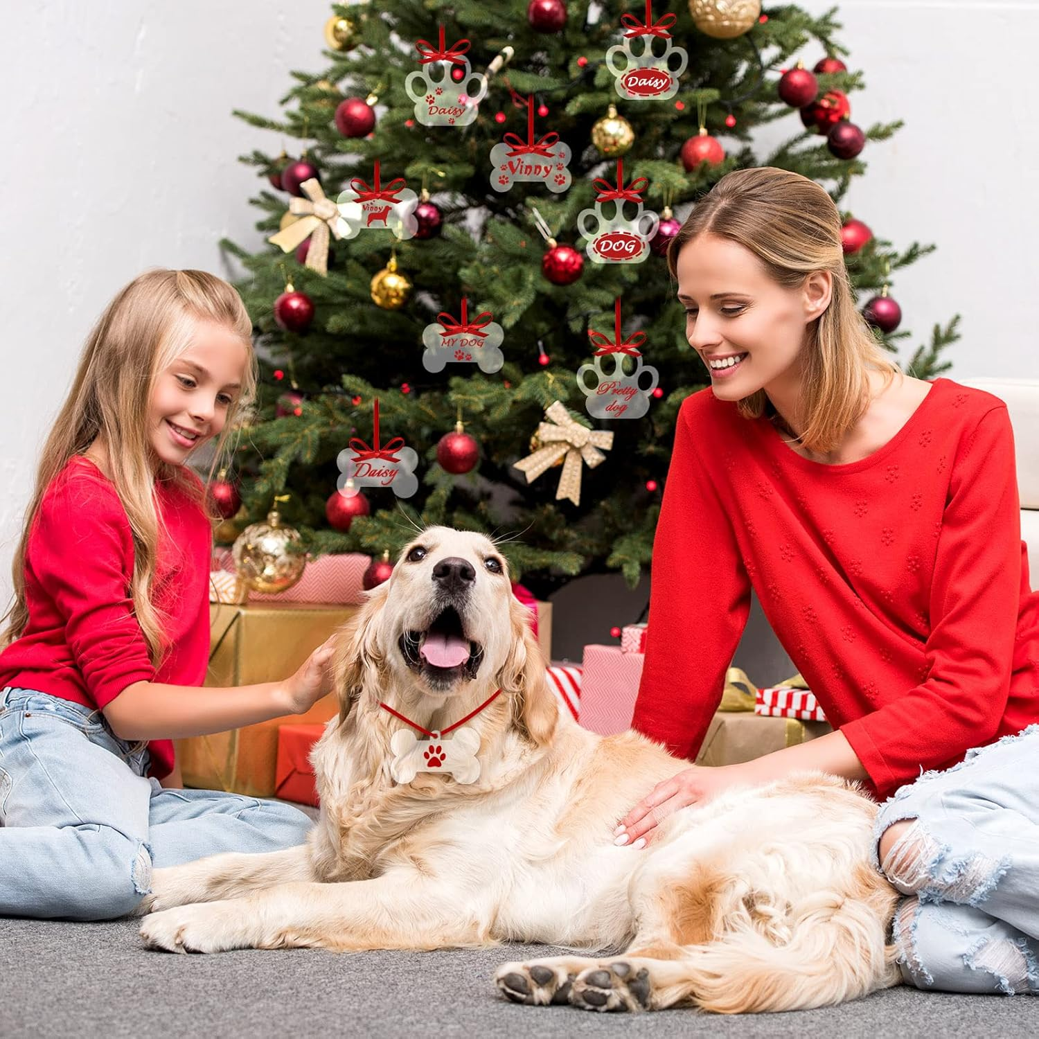 35 Pieces Christmas Acrylic Ornaments Blank Dog Paw Bone Ornaments round Disc Heart Hanging Ornament DIY Stocking Name Tag Acrylic Ornament with Paint Pen and Ribbon for Christmas Crafts (White)