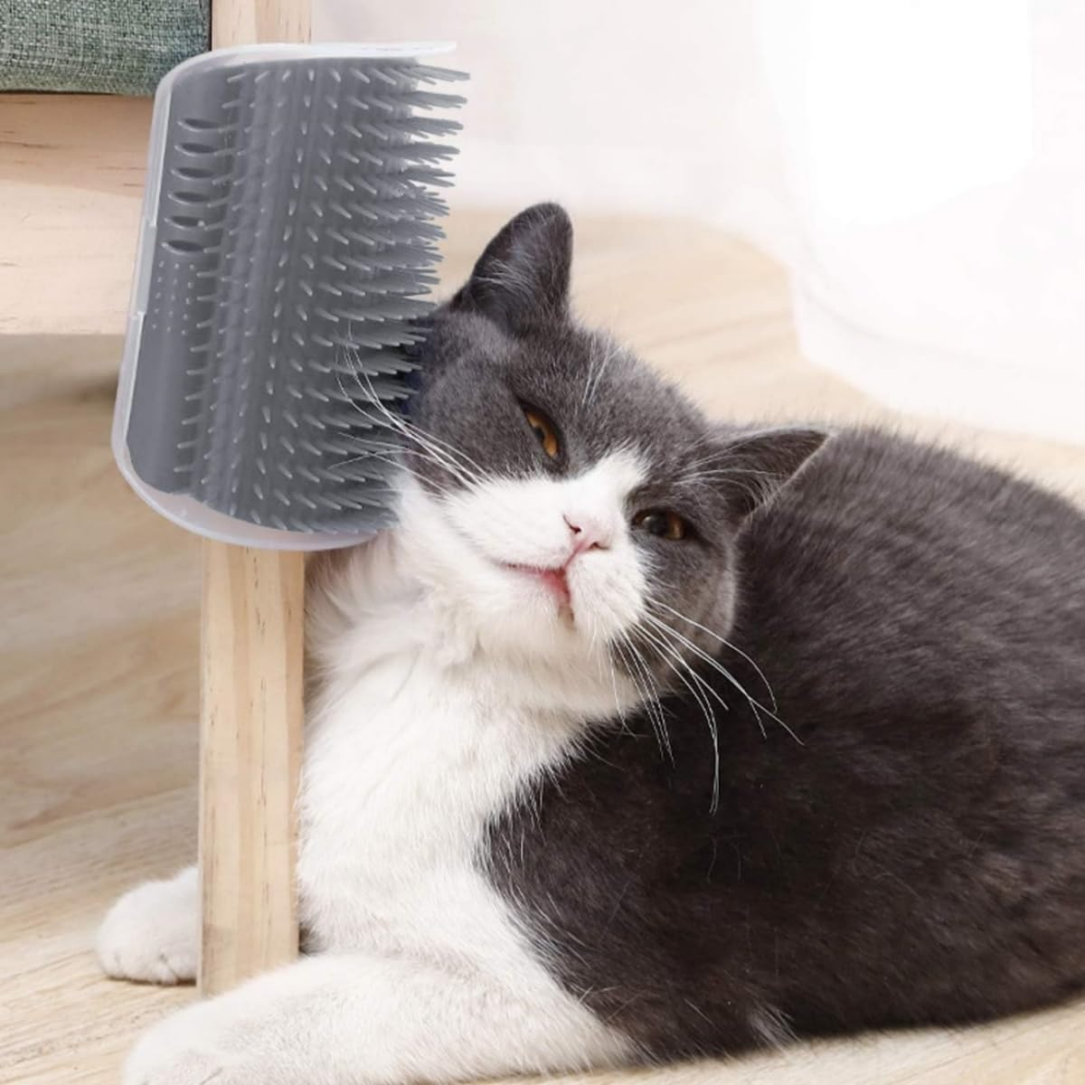 Lijuanwang Cat Brush, 2 Pieces Cat Brush Wall Corner, Cat Brush Cat Self Groomer, Wall Corner Massage Comb, Massage Brush with Packs Screws for Itching Massage (Grey) image number 3