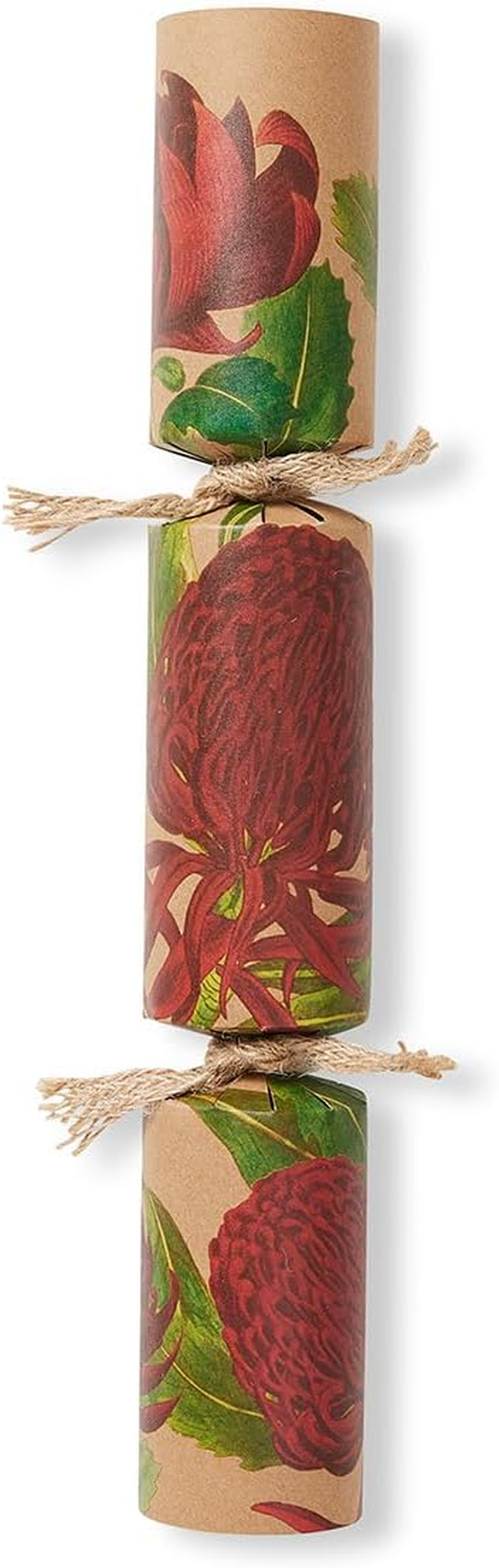 DIY - Eco Waratah, Pack of 8 | Bonbon Crackers image number 4